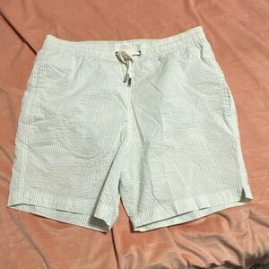 Men's Classic White Striped Swim Trunks